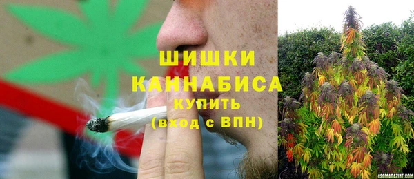 молекула духа Зеленодольск