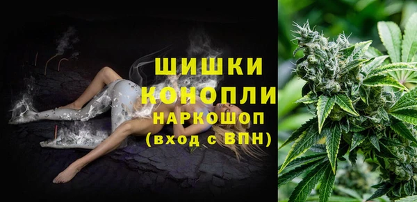 молекула духа Зеленодольск