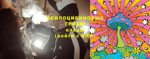 молекула духа Зеленодольск