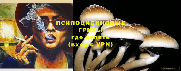 прущие крисы Зеленокумск